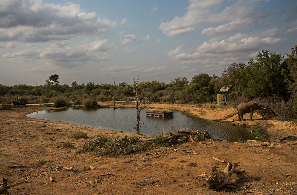 Madikwe Game Reserve View of Water Hole